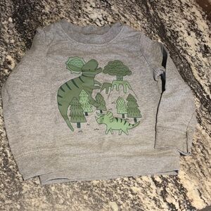 Child of Mine Gray and Green Dinosaur Sweatshirt
